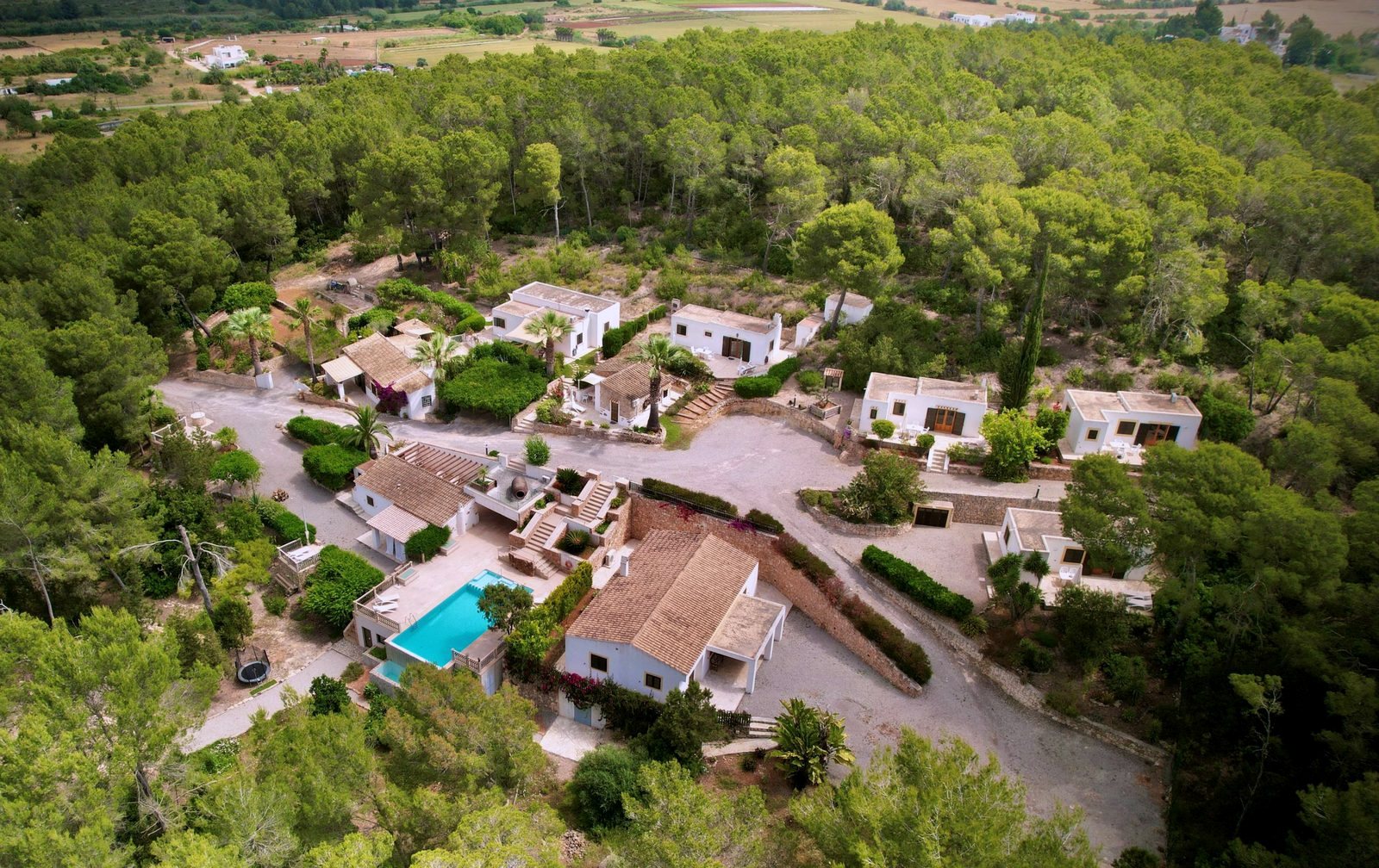 Piscina infinita de Apartamentos Pinosol rodeada de pinos en Ibiza